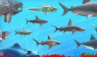 大鱼吃小鱼1 大鱼吃小鱼1