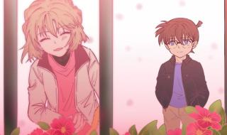 江户川柯南和灰原哀 江户川柯南和灰原哀